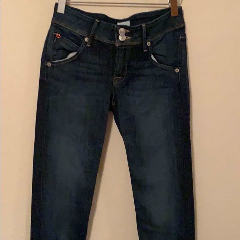 Hudson Collin Flap Skinny